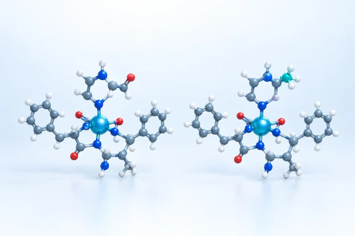 Side-by-side ball-and-stick models of two copper-binding tripeptides each chelating a copper ion, illustrating an AHK-Cu vs GHK-Cu structural comparison for in vitro research