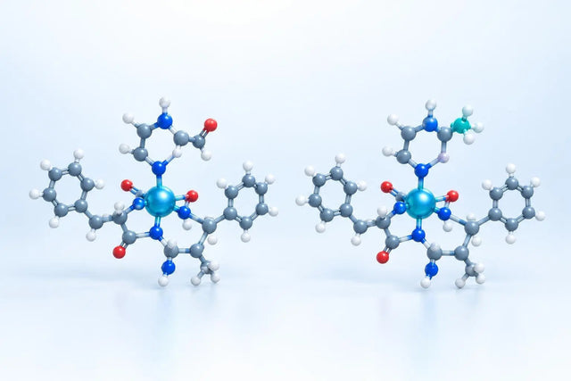 Side-by-side ball-and-stick models of two copper-binding tripeptides each chelating a copper ion, illustrating an AHK-Cu vs GHK-Cu structural comparison for in vitro research