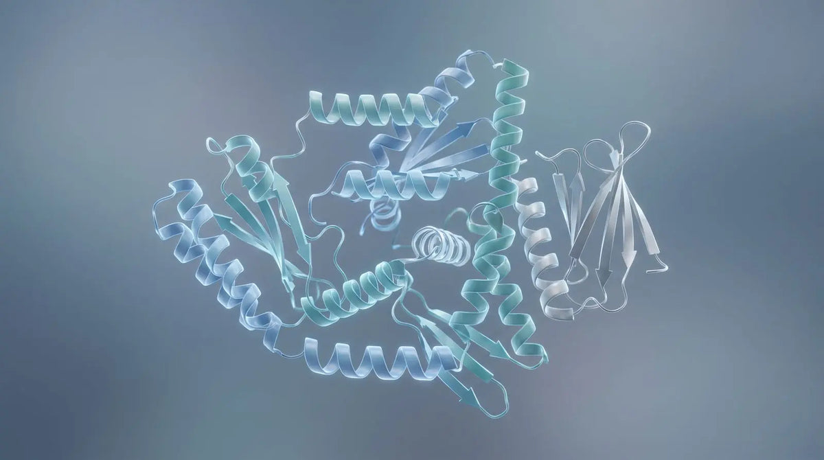 Abstract set of short peptide fragments representing AOD-9604 among other fragment peptides.