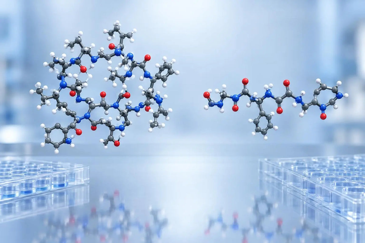 3D render of two peptide chains side by side, illustrating blend composition and ratio studied in parallel in vitro