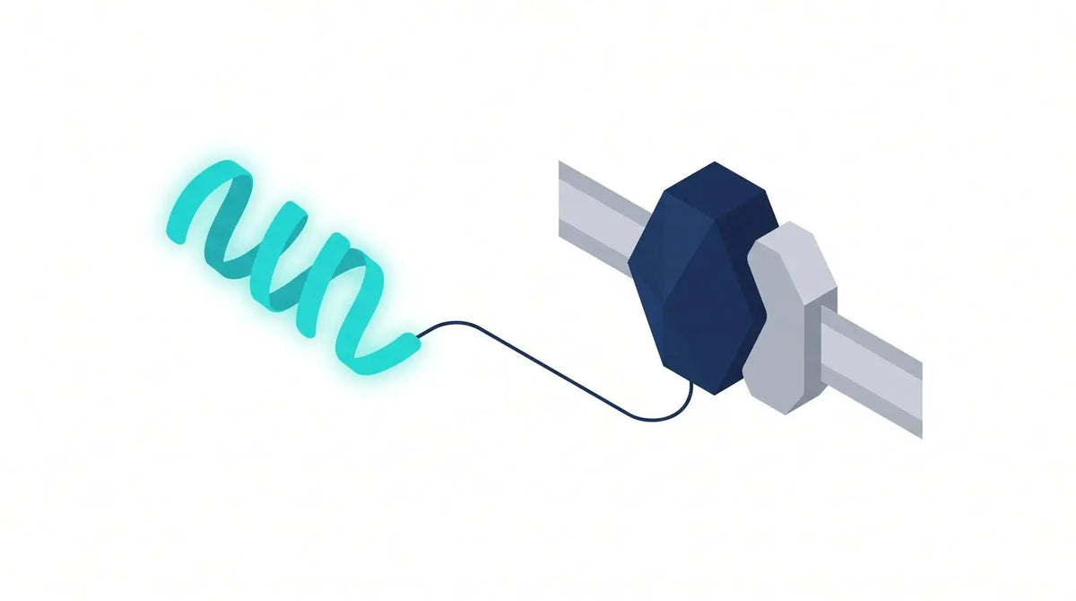 Isometric diagram of a glowing peptide ribbon connected to a composite amylin receptor made of a core receptor and accessory protein in a membrane
