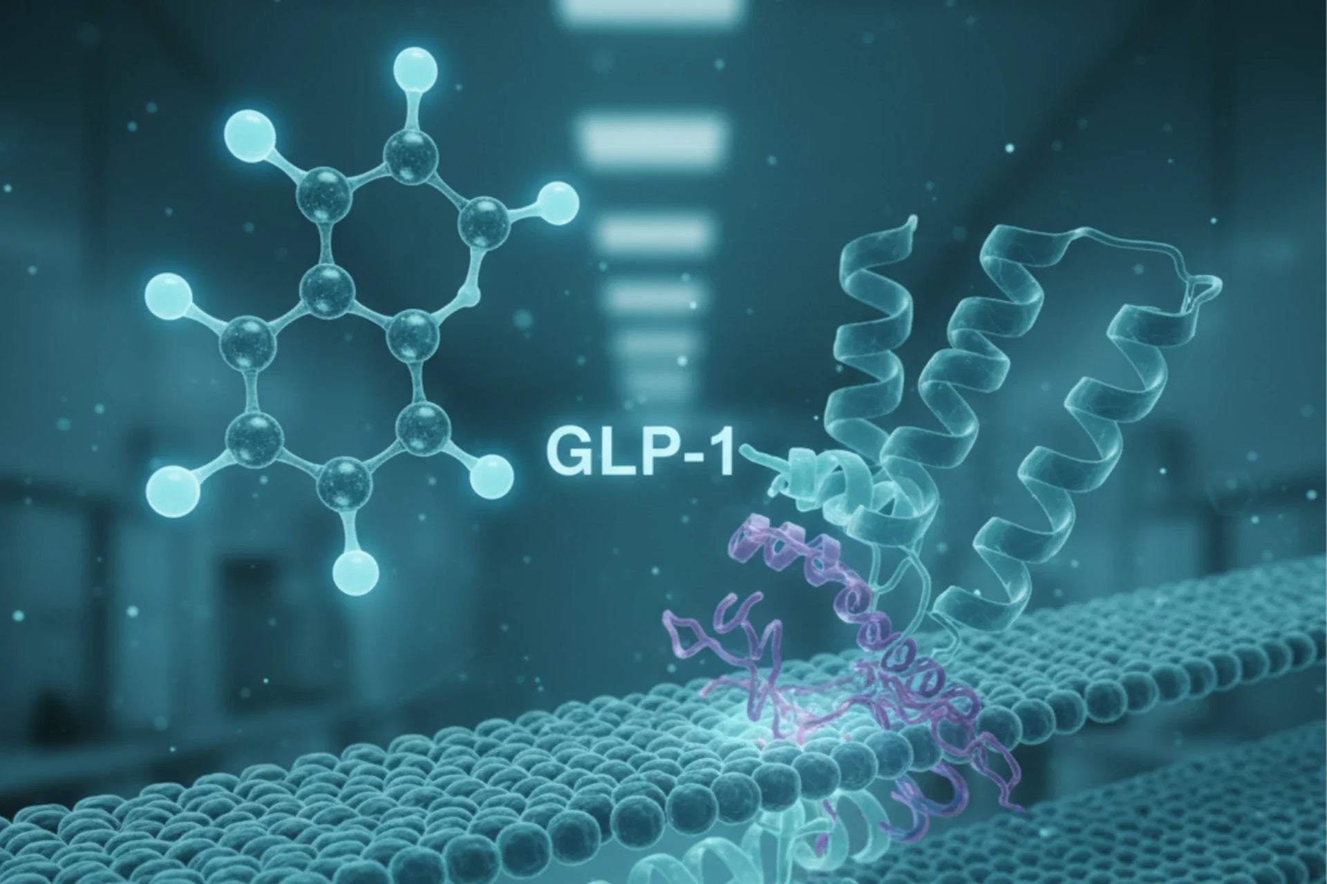 Scientific illustration showing GLP-1 peptide structure interacting with a cellular receptor, with molecular models displayed in a laboratory-style environment.