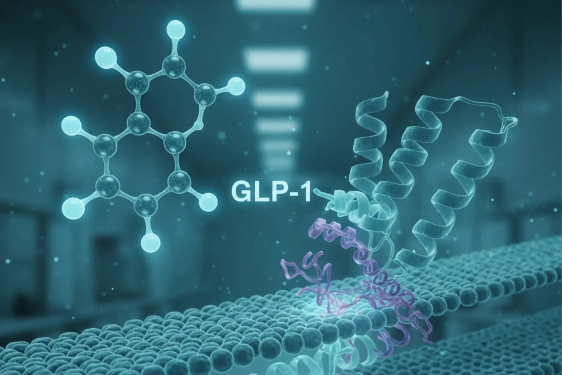 Scientific illustration showing GLP-1 peptide structure interacting with a cellular receptor, with molecular models displayed in a laboratory-style environment.