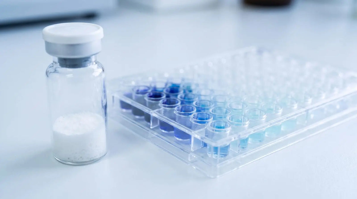 Lyophilized peptide vial beside a 96-well plate with an indigo-to-cyan serial dilution gradient, representing in vitro stock concentration math.