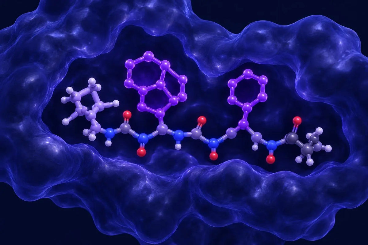 Ball-and-stick model of a pentapeptide with two aromatic rings seated in a translucent receptor pocket, representing ipamorelin structure