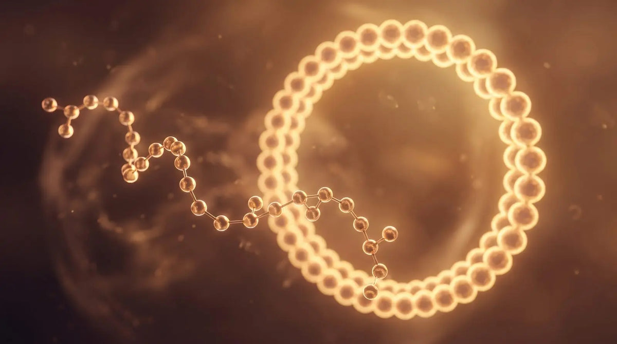 Amber ball-and-stick peptide chain beside a glowing circular mitochondrial genome ring, representing the MOTS-c mitochondrial-derived peptide.