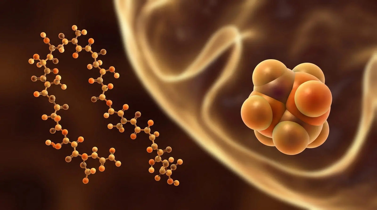 Long amber peptide chain beside a compact tetrapeptide sphere cluster in front of a mitochondrial membrane fold, comparing MOTS-c and SS-31 structures.