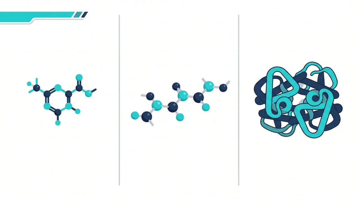 Isometric three-column comparison of a small molecule, a short peptide chain, and a folded protein