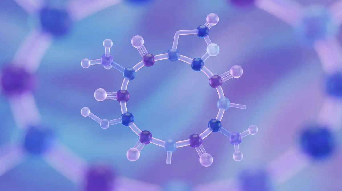 Abstract blue-violet ball-and-stick render of a cyclic heptapeptide ring with a lactam bridge, representing PT-141 (bremelanotide) structure and melanocortin receptor research.