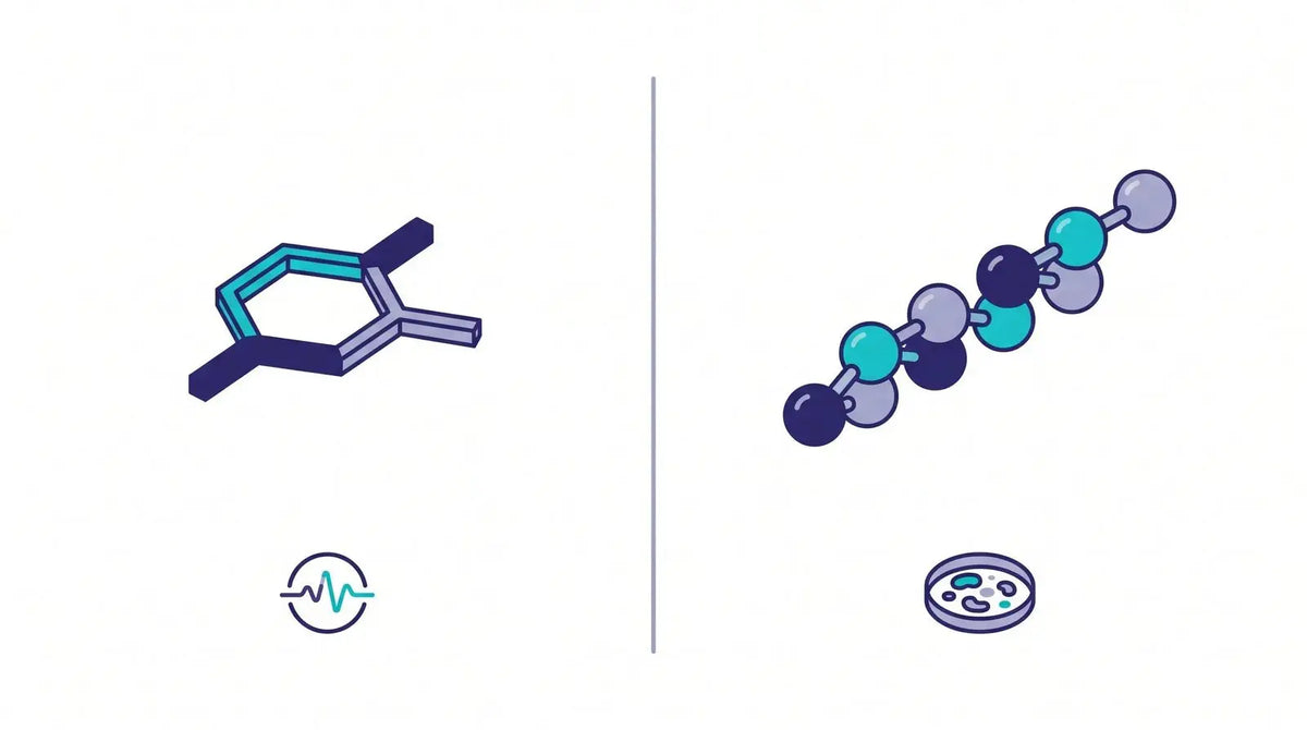 Isometric split comparison of a small-molecule ring with a current trace versus a peptide chain with a petri dish, representing racetams versus research peptides