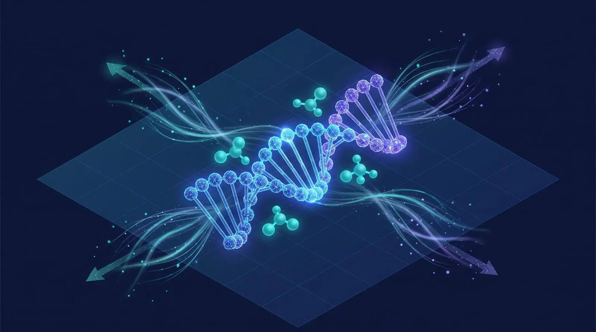 Isometric diagram of a glowing DNA double helix with small short-peptide molecules interacting near the groove and streams of light flowing outward, representing short-peptide bioregulators and gene-expression readout