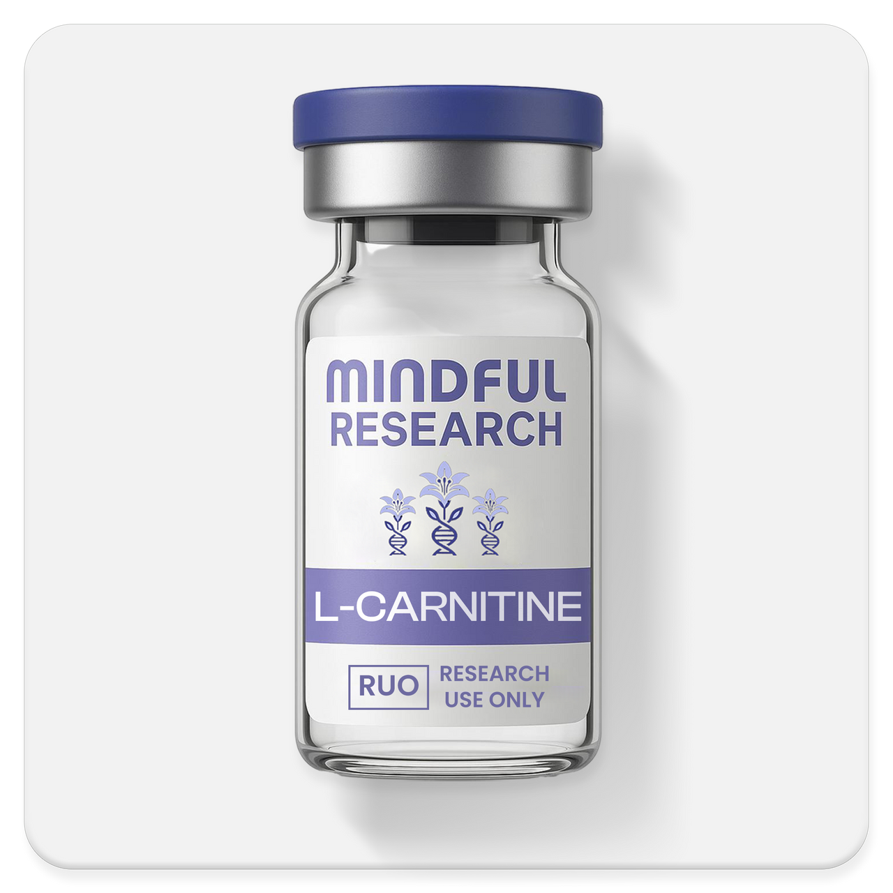 L-Carnitine  Mindful Research- Best Peptides - Buy Research Chemicals
