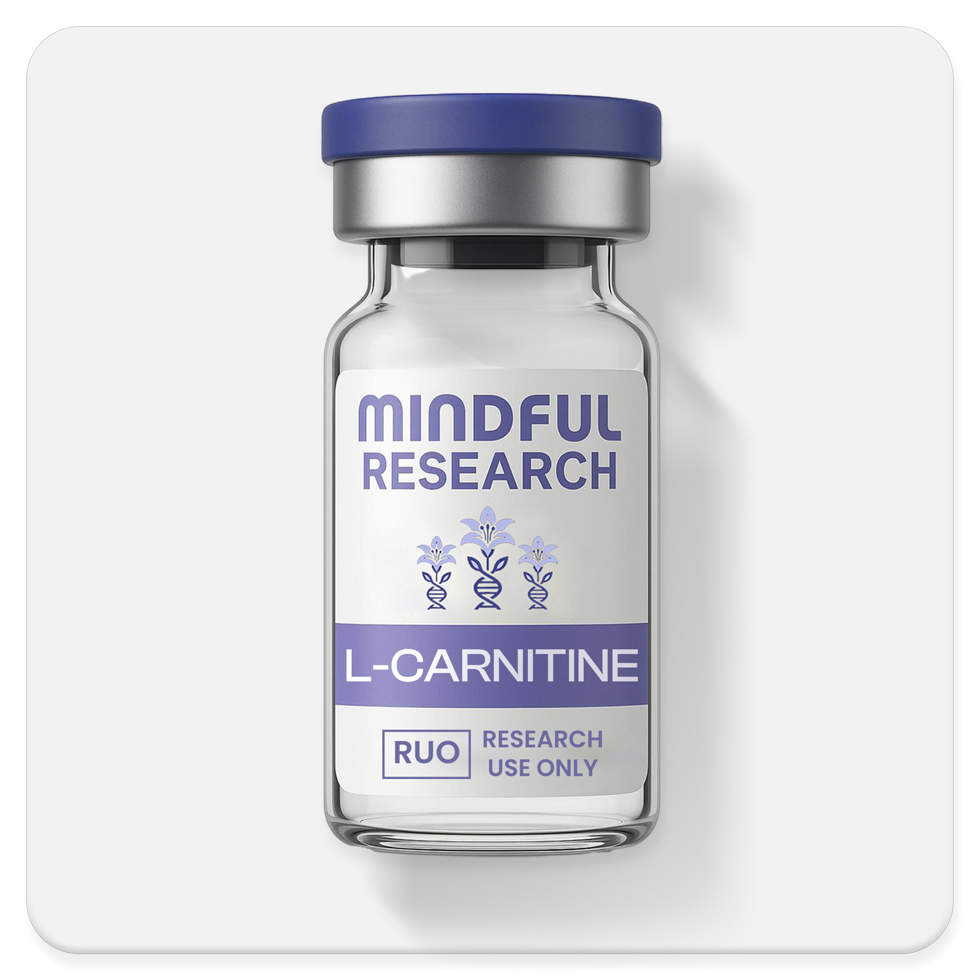 L-Carnitine  Mindful Research- Best Peptides - Buy Research Chemicals